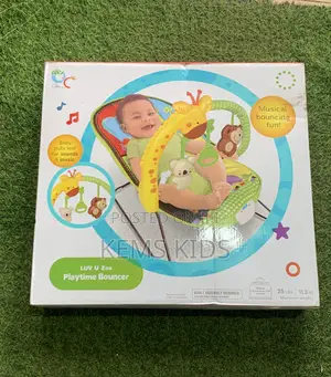 Playtime Bouncer