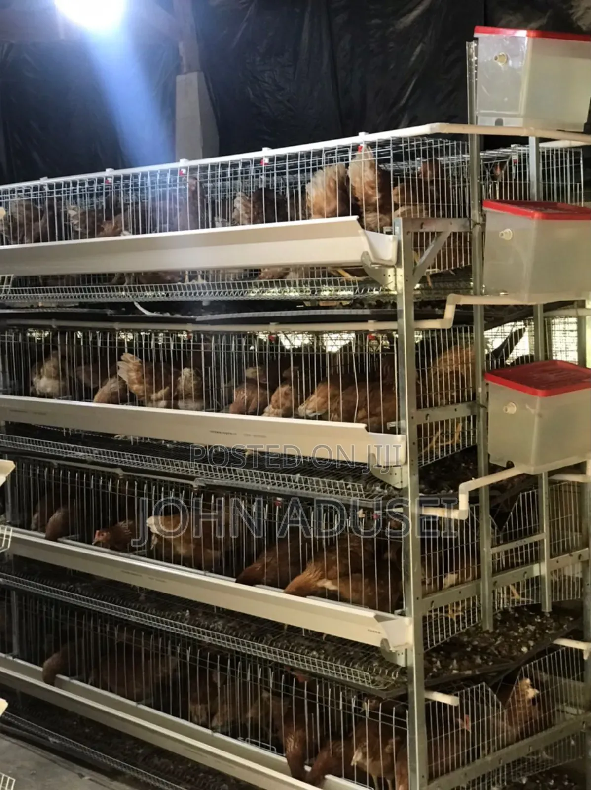 Battery Cage
