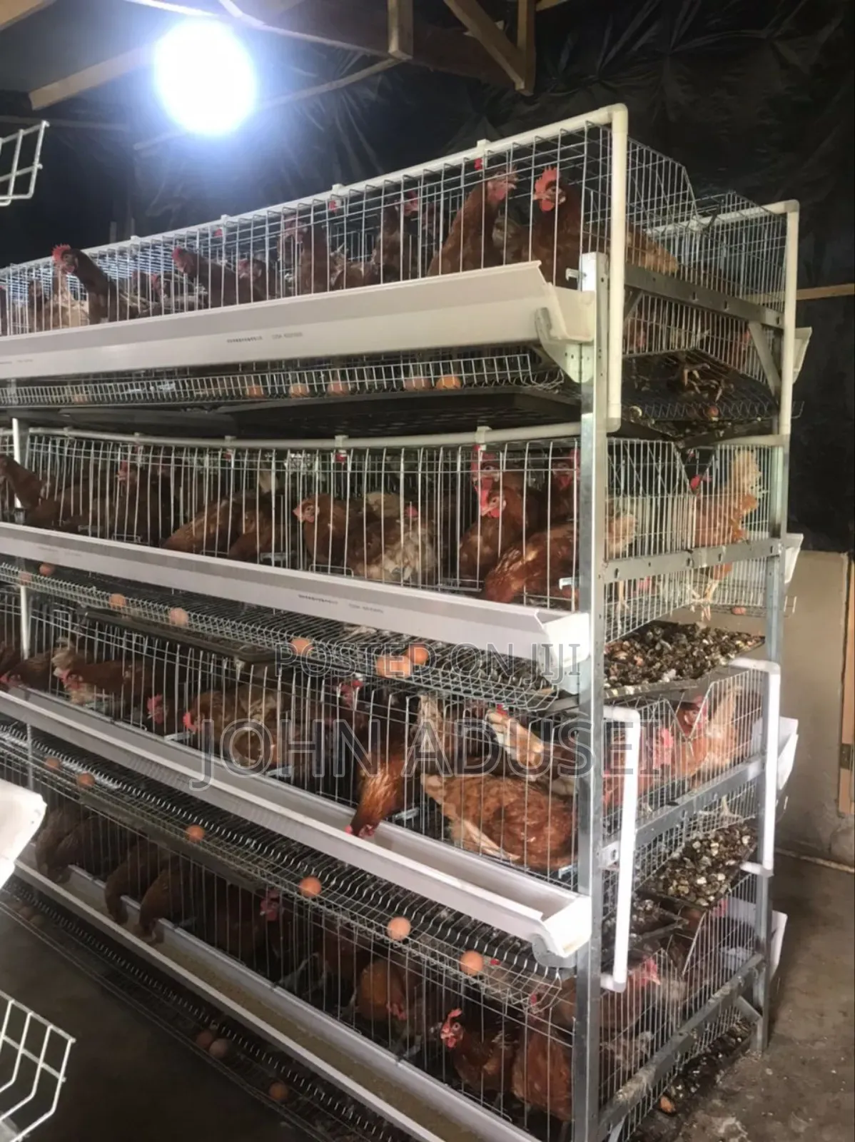 Battery Cage