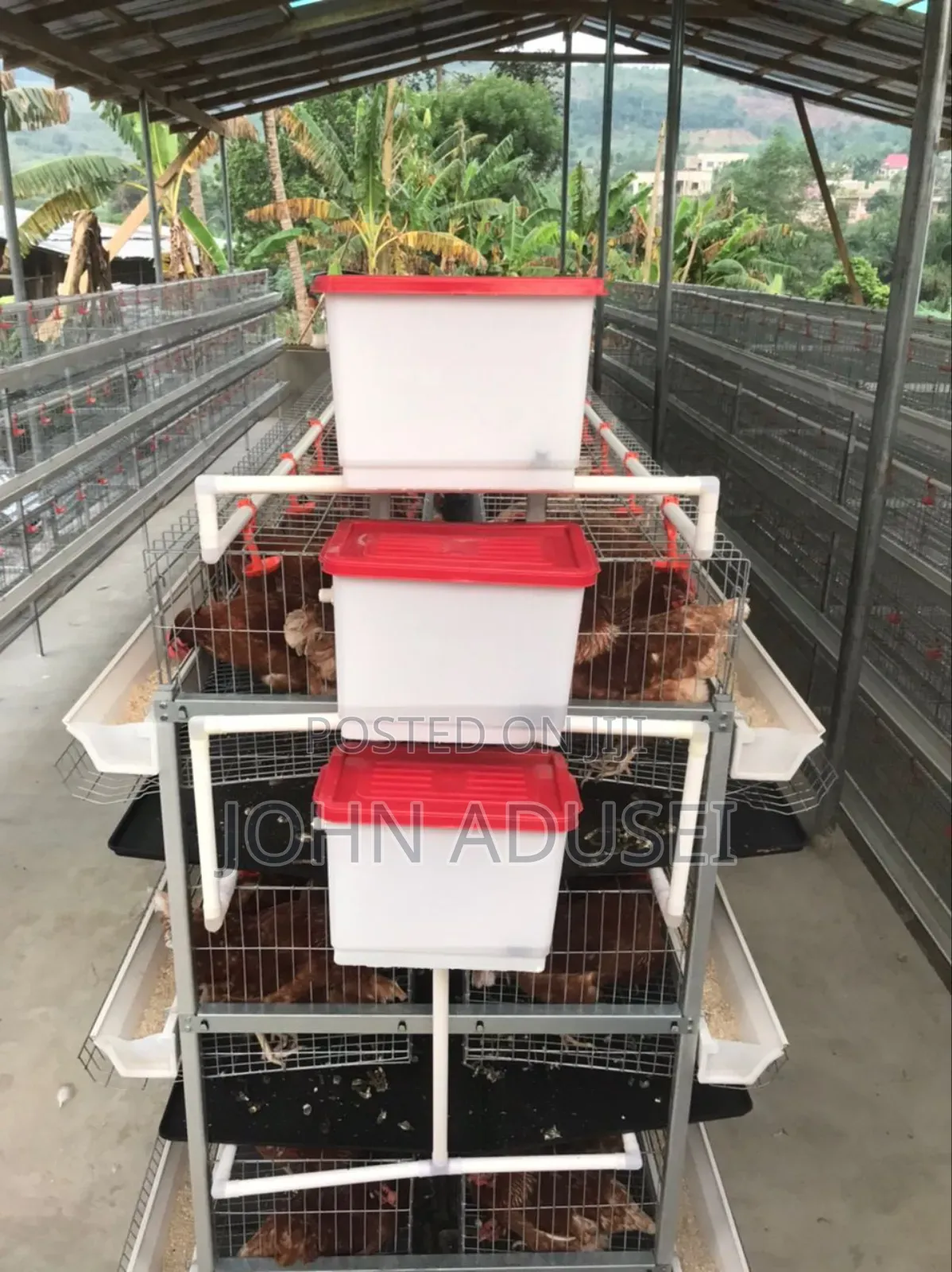 Battery Cage