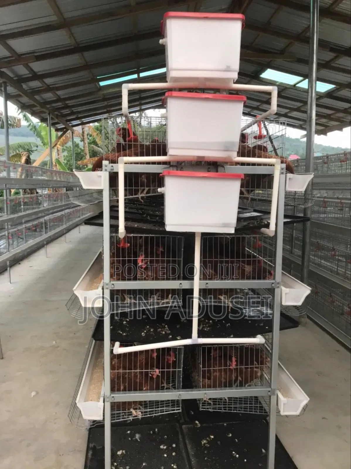 Battery Cage