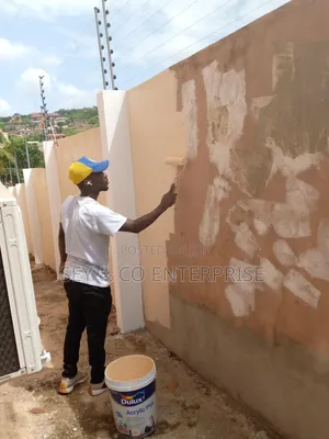 Professional and Skillful Painters Available