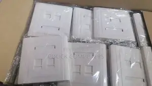 Universal Cat6 Rj45 Double Faceplate