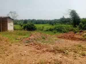 Double Plot for Sale in Ejisu - Asienimpong