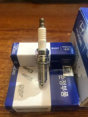 Hyundai Elantra Spark Plugs 1884611070 Plugs