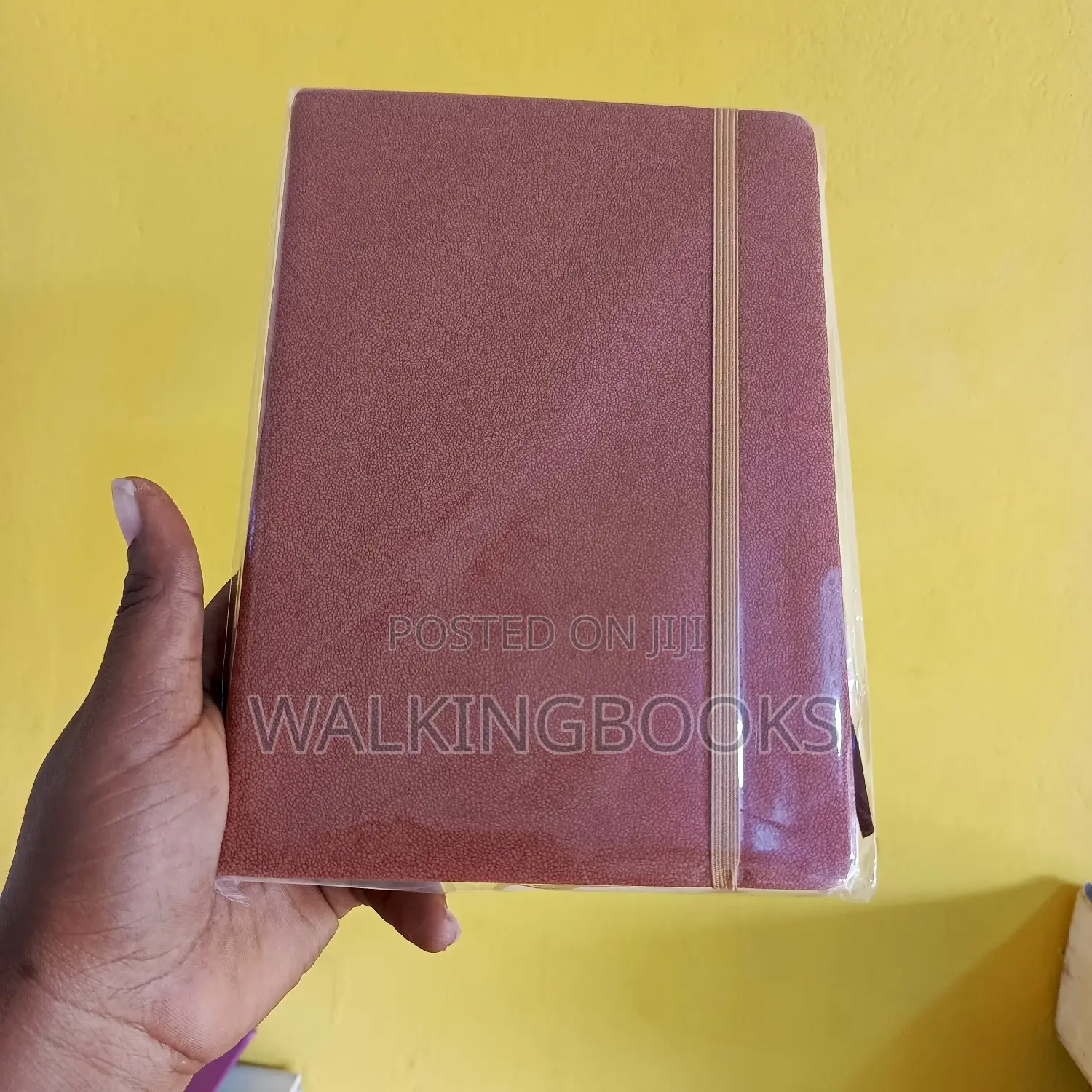 Beautiful Diaries