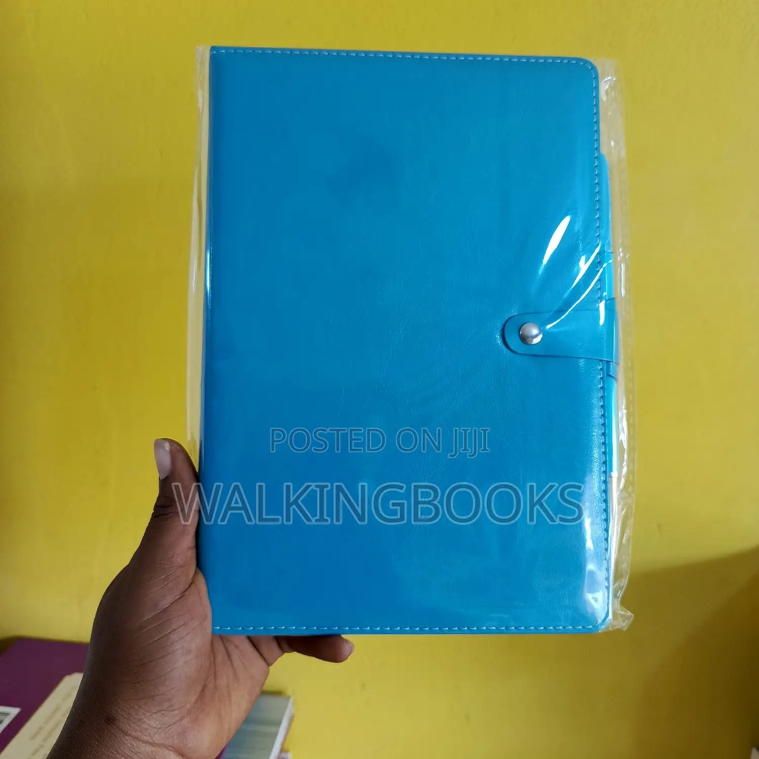 Beautiful Diaries