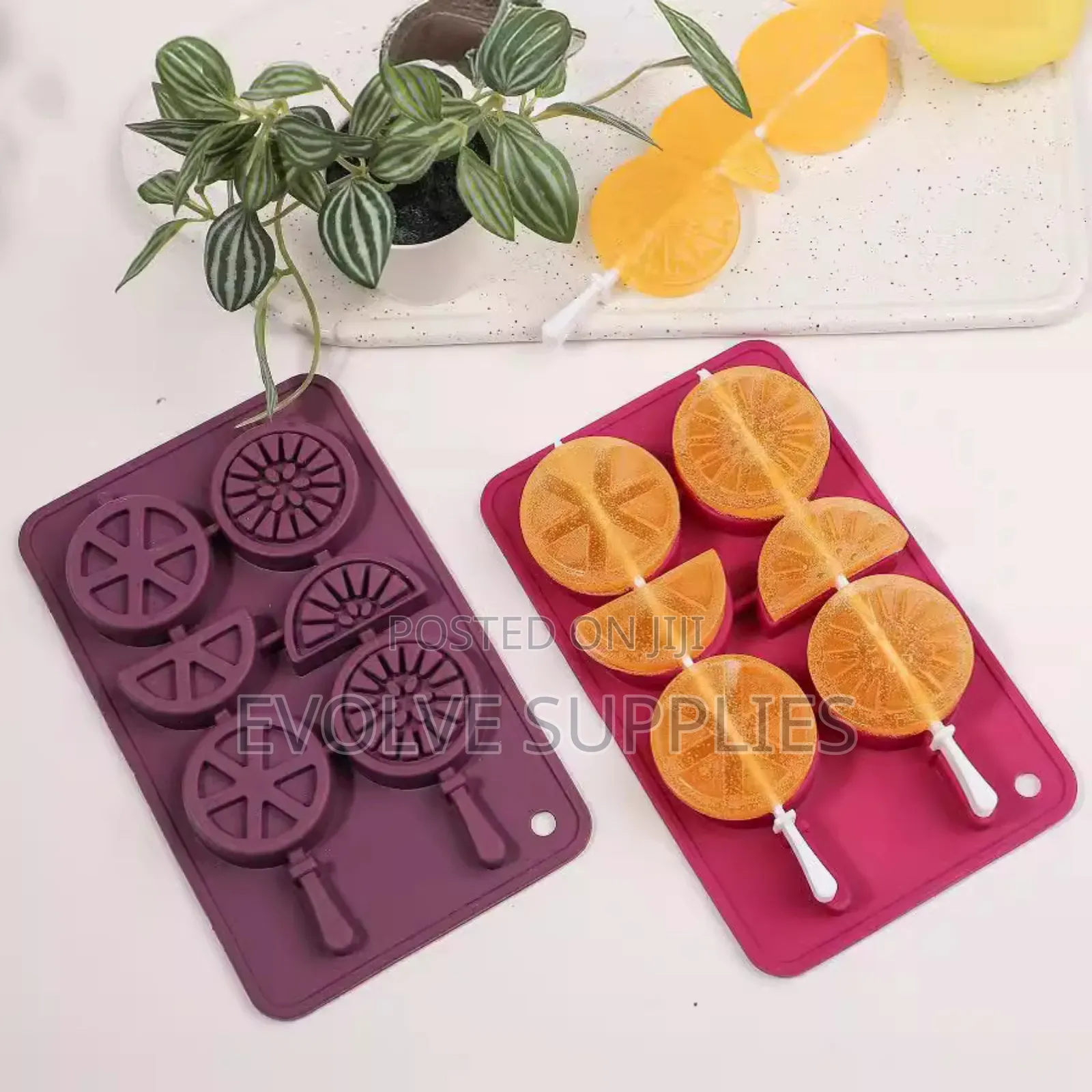 Lemon Slices Theme Mould