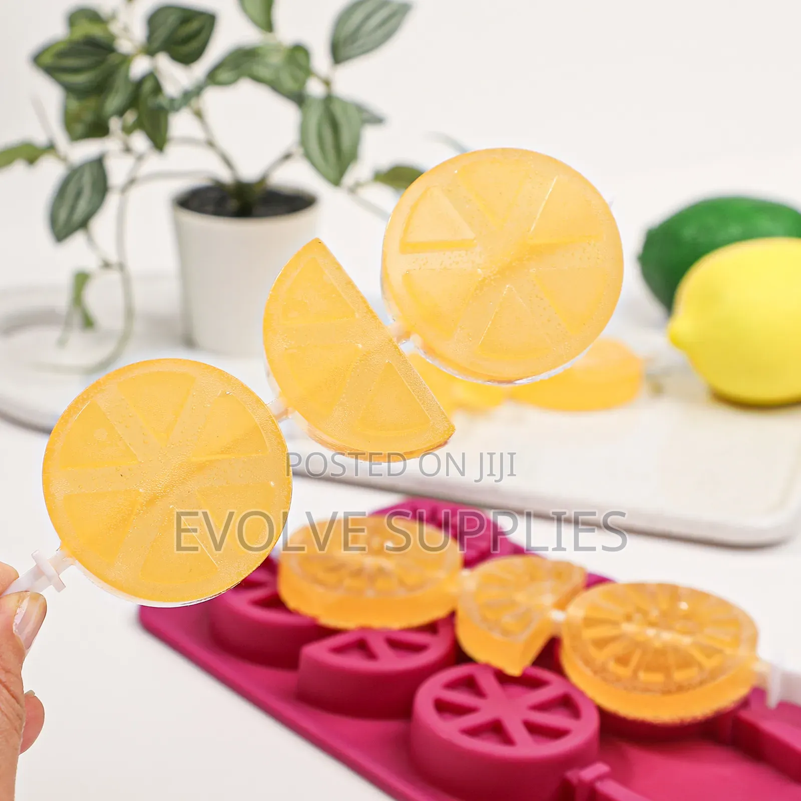 Lemon Slices Theme Mould