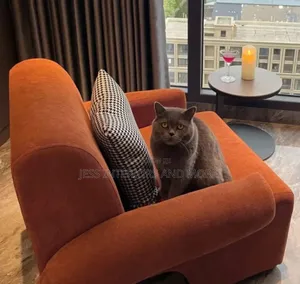 Accent Armchair (Orange)
