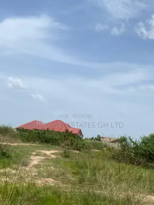 Afienya Genuine Full Plots