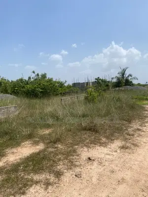 Afienya Genuine Full Plots