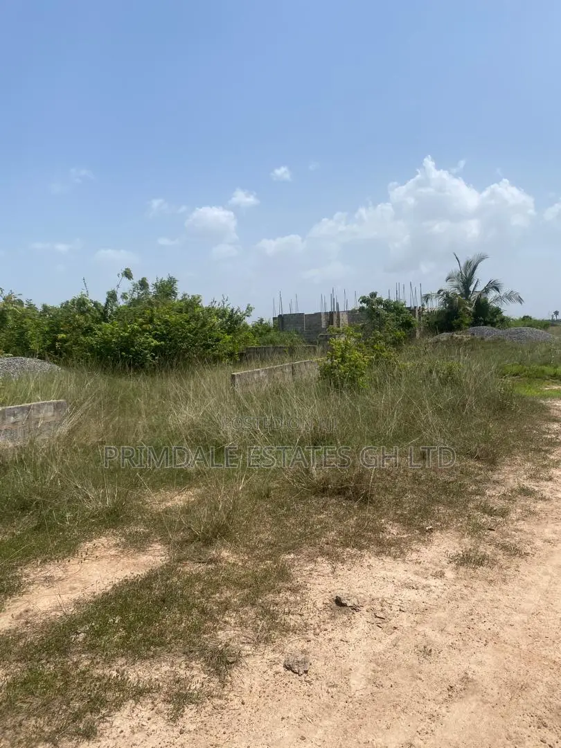 Afienya Genuine Full Plots