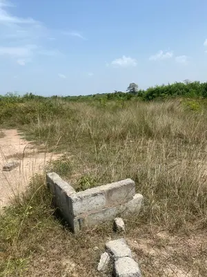 Afienya Genuine Full Plots
