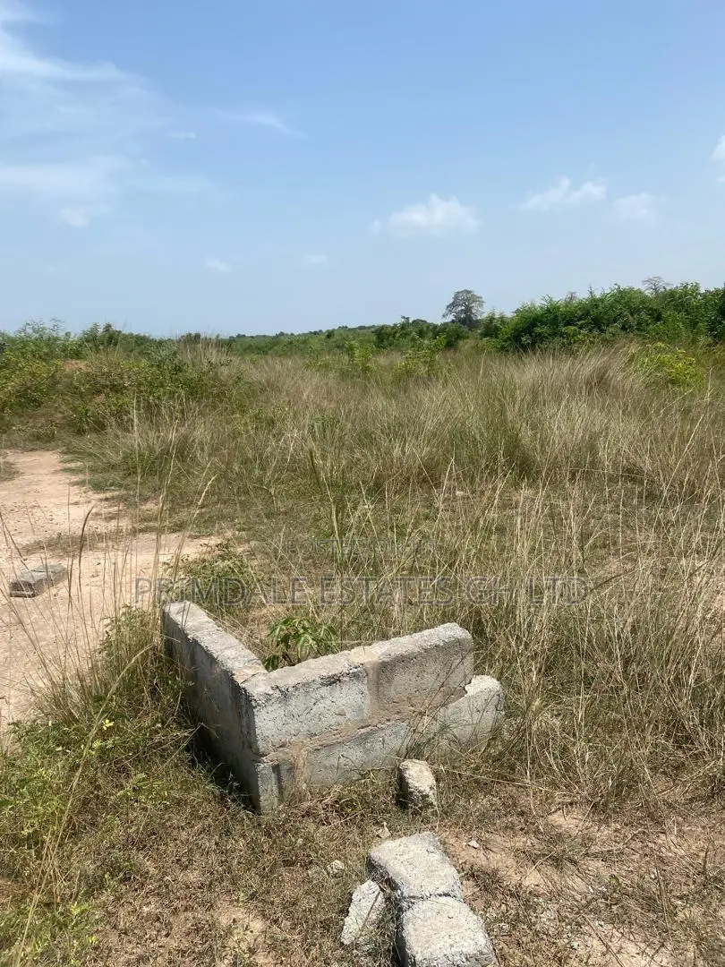 Afienya Genuine Full Plots