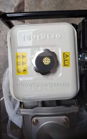 PERSON Wp30x Water Pump.