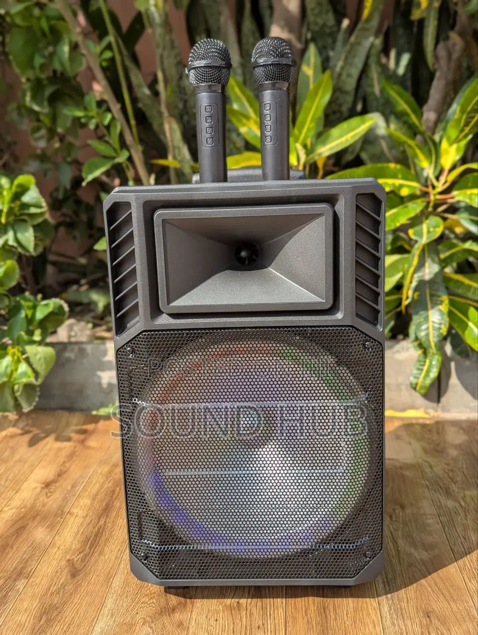 Professional Rechargeable Trolley Speaker With 2 Microphones