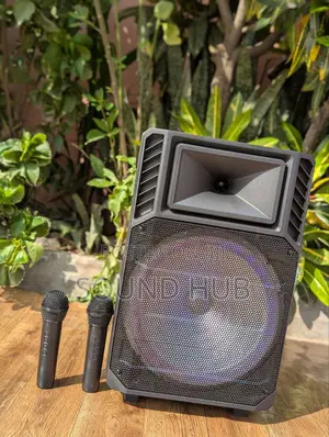 Professional Rechargeable Trolley Speaker With 2 Microphones
