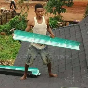 Double Step Roofing Ties