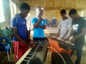 Instrumentalists