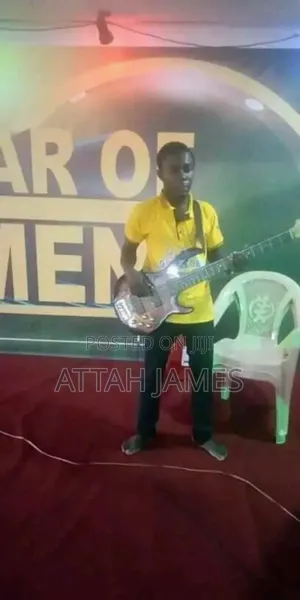 Instrumentalists