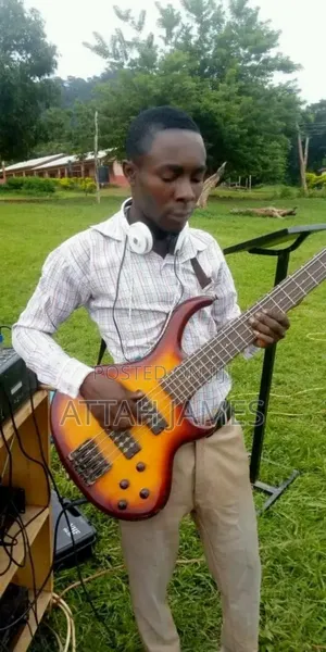 Instrumentalists