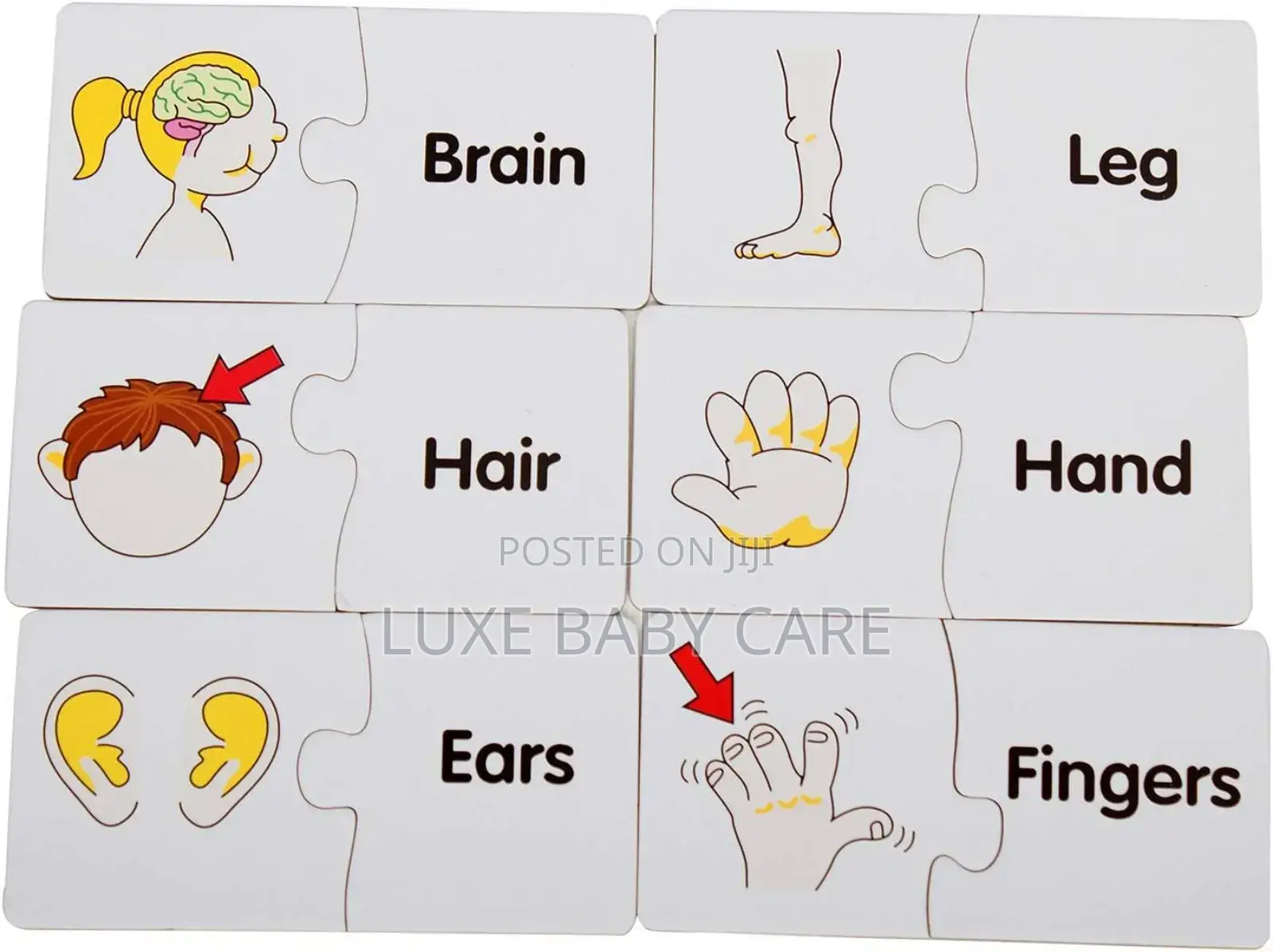 Body Parts Puzzle for Kids/Children - Puzzle Games