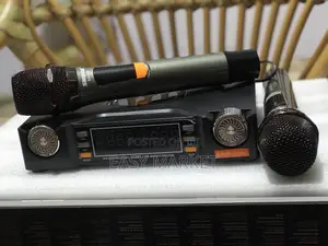 Chargeable Shure Mics
