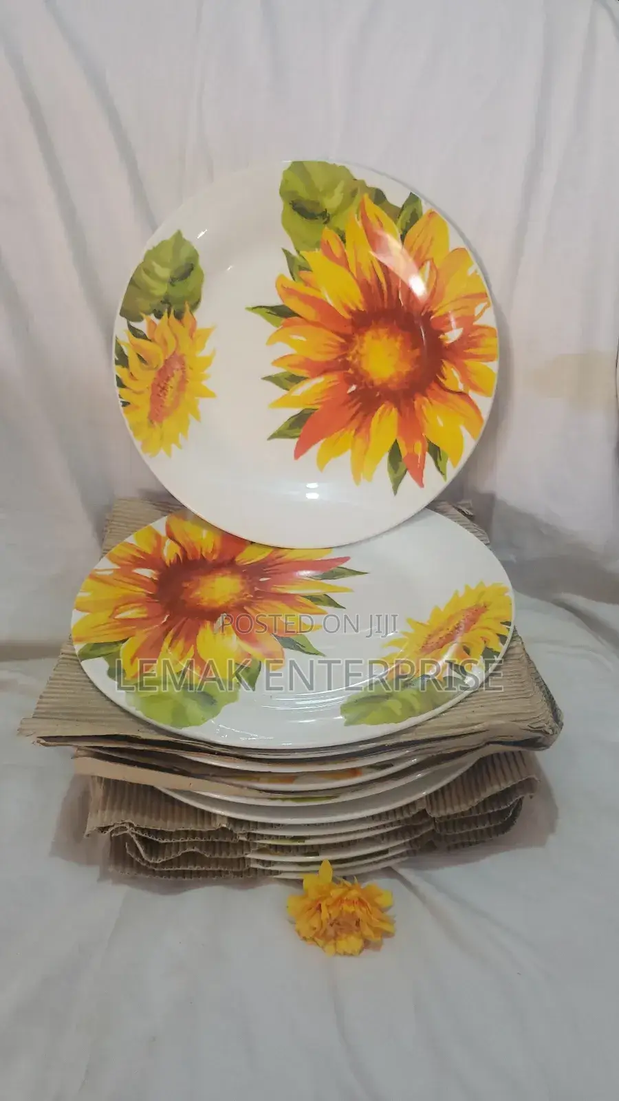 Ceramic Serving Plates. 12 Pcs Dinner Plates