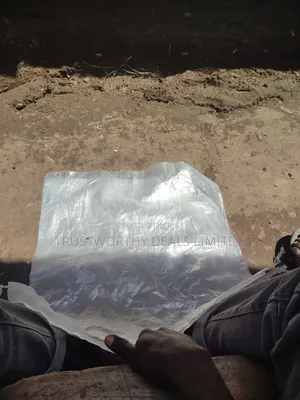 Transparent Sacks