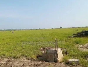 A Well Demarcated Plots of Lands for Sale at Tsopoli