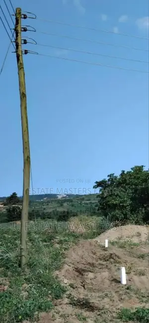 A Half Plots of Lands at Dominase Behind the Onion Market