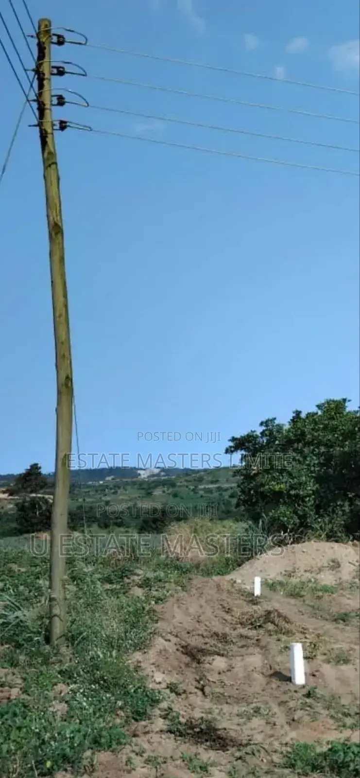 A Half Plots of Lands at Dominase Behind the Onion Market