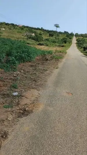 A Half Plots of Lands at Dominase Behind the Onion Market