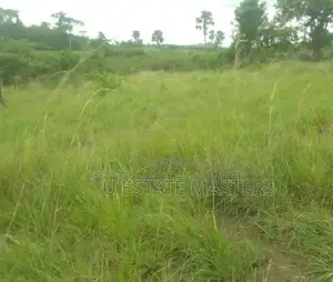 100×100 Plot of Land for Sale at Potsin Off the Wineba Road