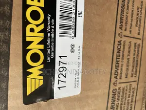 Front Pair Strut Assembly for 2013-2017 Honda Accord