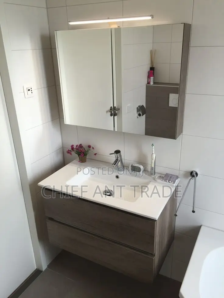 Basin With Cabinet Mirror. 821-80