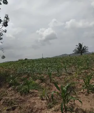 70x100 Land at Affordable Prices at Dominase