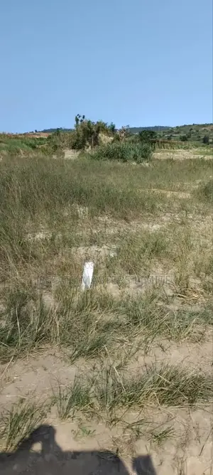 Tsopoli Airport City Lands Available at an Affordable Price