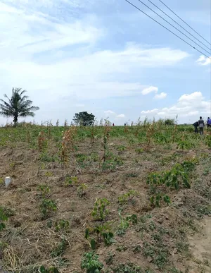 We Are Here to Delight Our Customers When It Comes to Lands