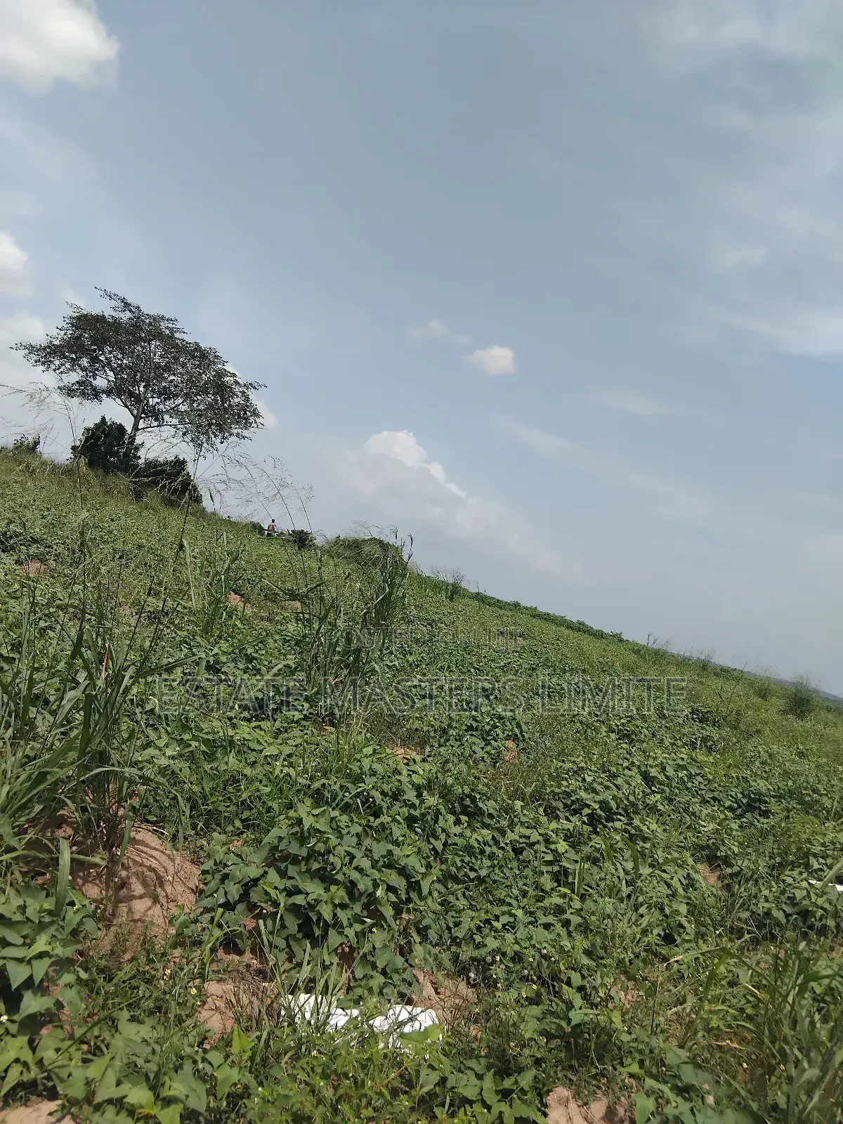 Full Plots at an Affordable Price for Sale