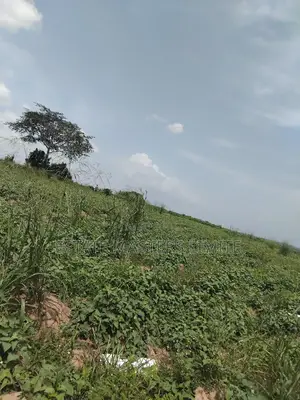 Full Plots at an Affordable Price for Sale