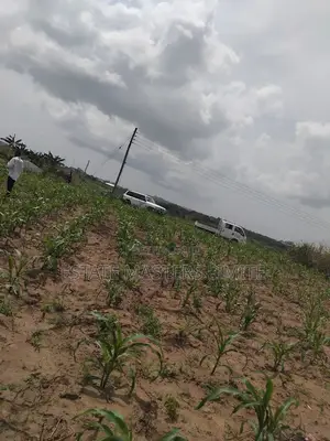 Full Plots at an Affordable Price for Sale