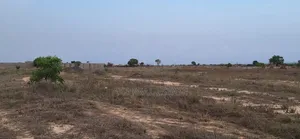 Registered Land Legit Commercial Half Plot at Tema Comm. 25