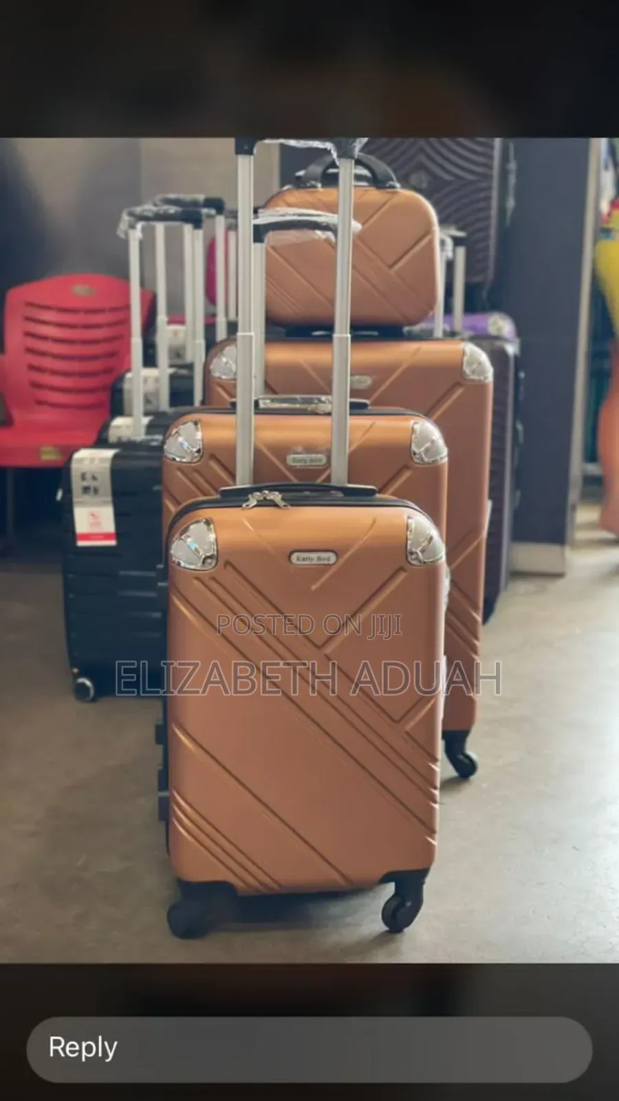 4 in 1travelling Bags