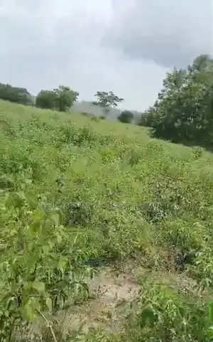 Acres of Lands for Sale at Affordable Prices at Dominase
