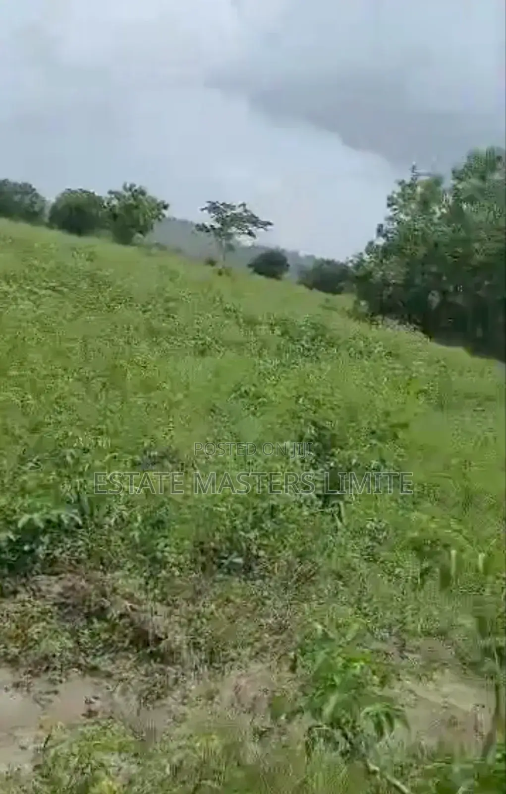 Acres of Lands for Sale at Affordable Prices at Dominase