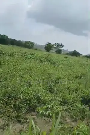 10 Acres of Land Available at Kasoa-Winneba Road