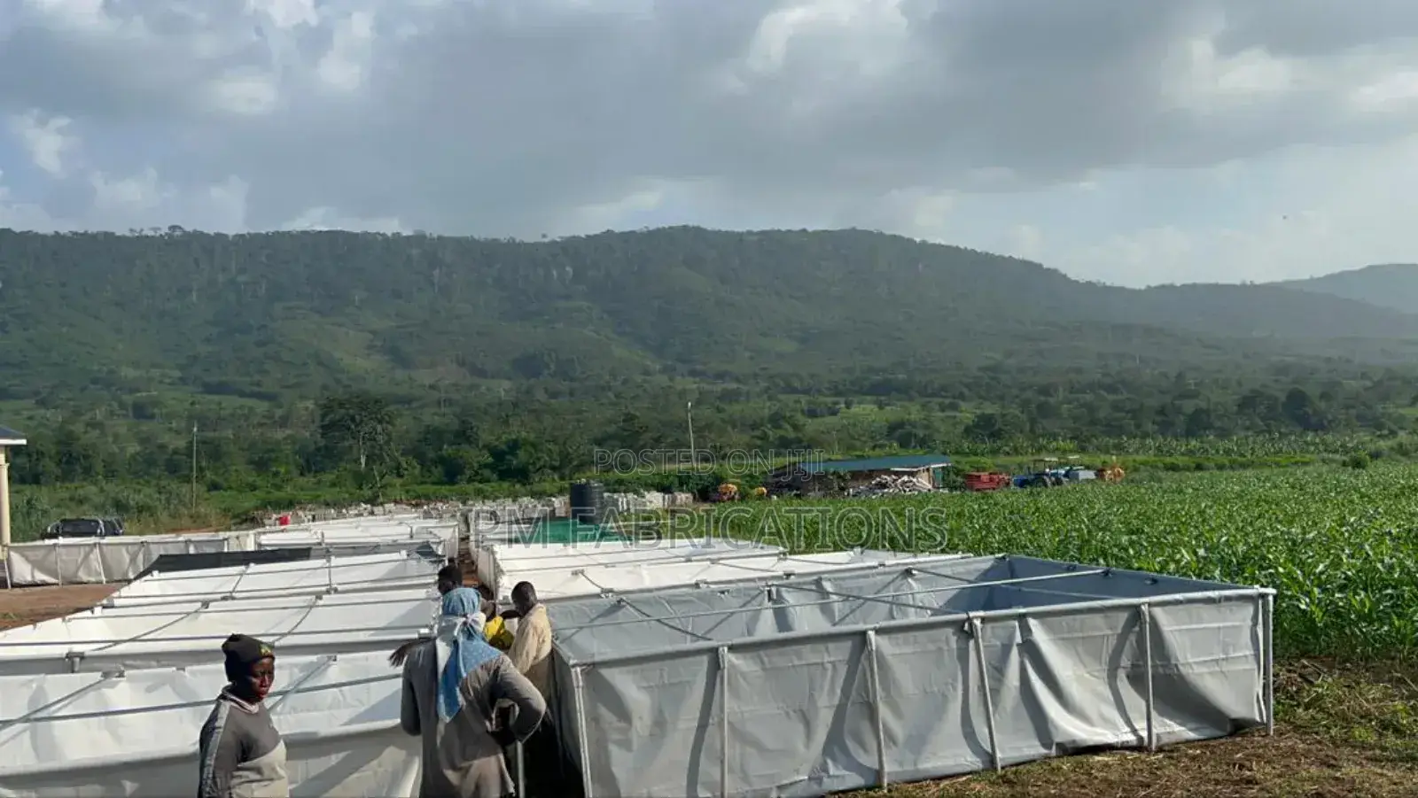 25,000 Fish Capacity