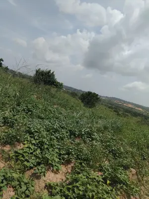 Beautiful Environment and Litigation Free Lands Available